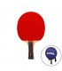 Paletta da Ping Pong Softee P100