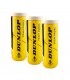 3 confezioni di palline Dunlop Team Padel