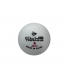 Pallina Ping Pong Dunlop 40+ Club Training